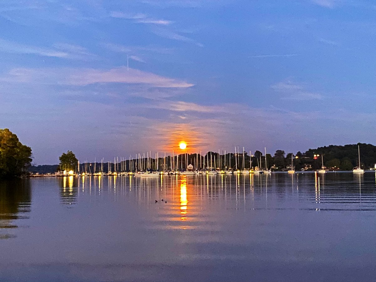 timrobotics's tweet image. 