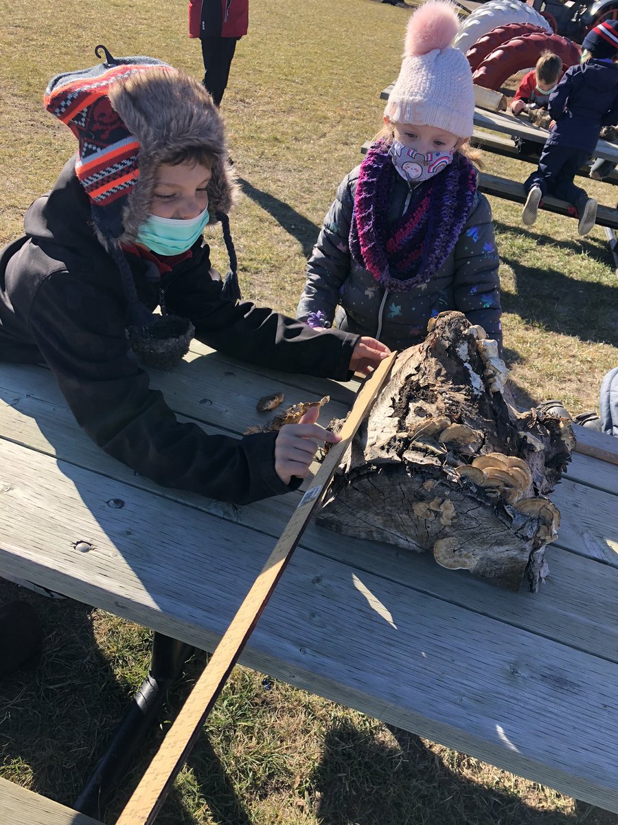 ErinRichardHZSD's tweet photo. STEAM is my passion.  I love to integrate multiple subjects into my lessons. Grade 3/4 Ss are learning about habitats and ecosystems #TakeMeOutsideDay @horizonsd205 @nokomisschool #prairiehabitats #sci4 https://t.co/s348hmCzzQ