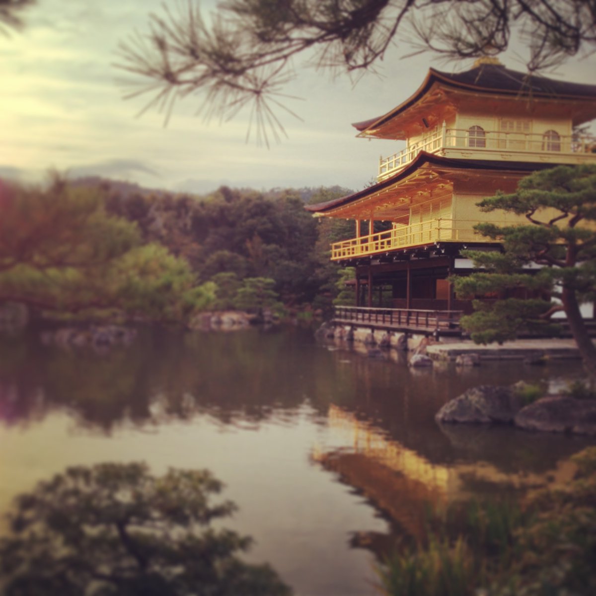 KChaneru's tweet photo. 🏯Kinkakuji Temple🏯
https://t.co/d0o7DXpX6Y

#Japan #japanese #travel #like #thursdayvibes #fun #beautiful #beauty #nature #NaturePhotography #greenpass #kyoto #Temple #FolloForFolloBack #health #Healing https://t.co/P9bYKqJ4qs