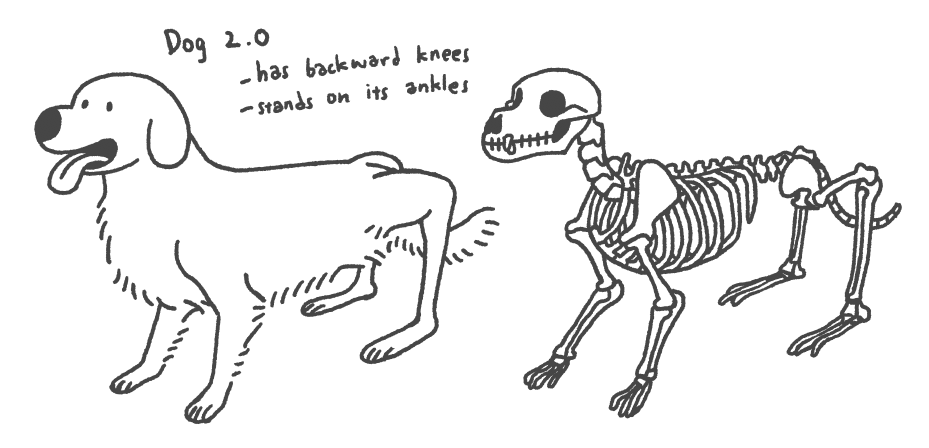 if i die and meet god i'll pitch this animal to him https://t.co/J3QWdGGwGz 
