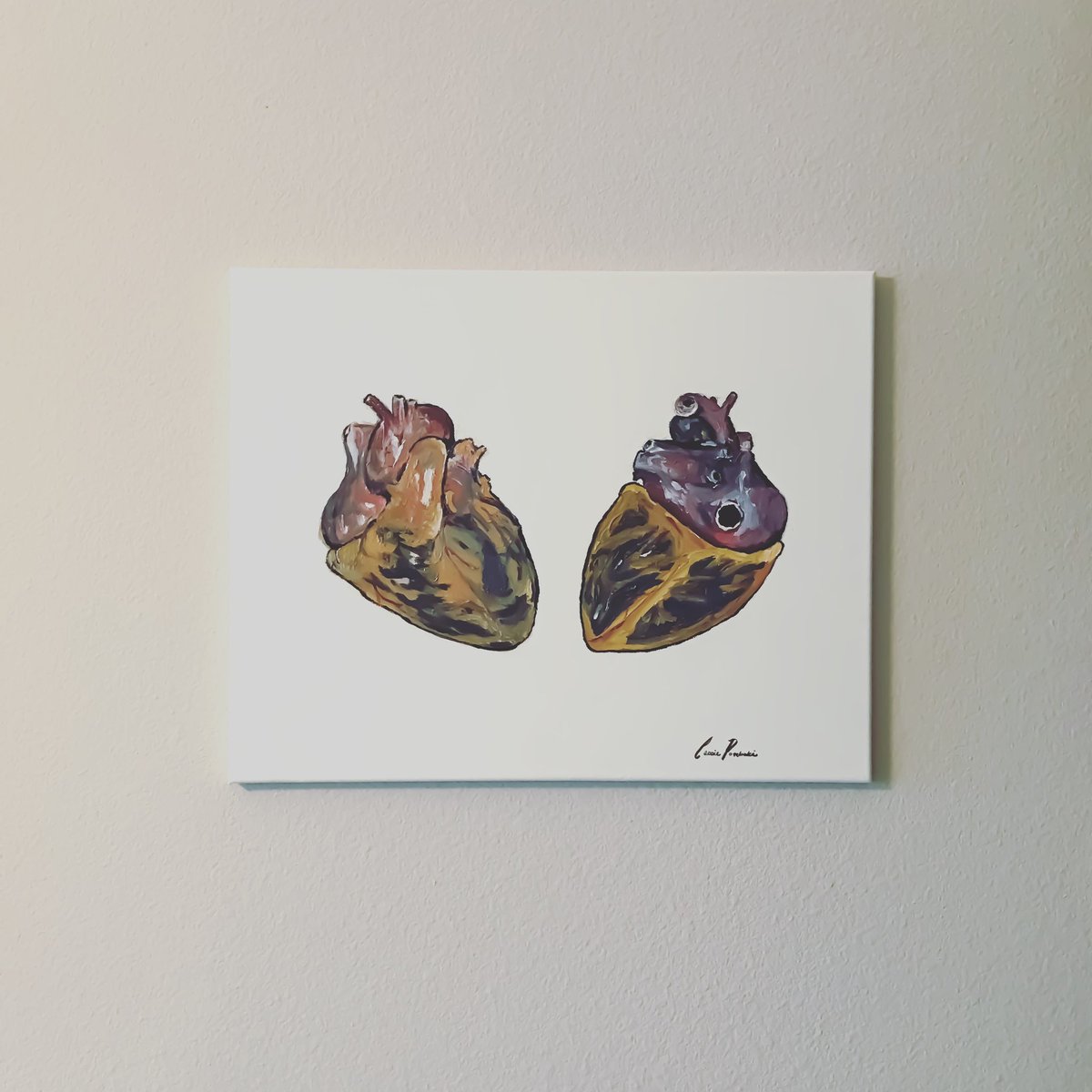 Cassie Porębski, DO MS tweet media