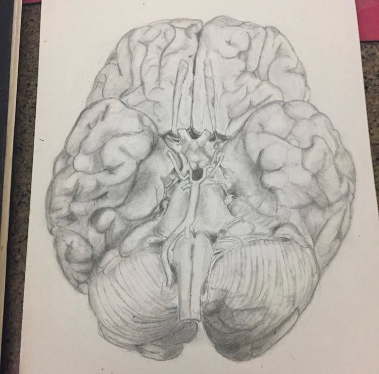 Cassie Porębski, DO MS tweet media