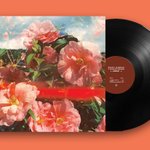 Photo by Swirl Records (@SwirlRecords)