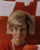 SalesPig's tweet photo. @Super70sSports Somebody’s horny https://t.co/7GmlFaAA2n