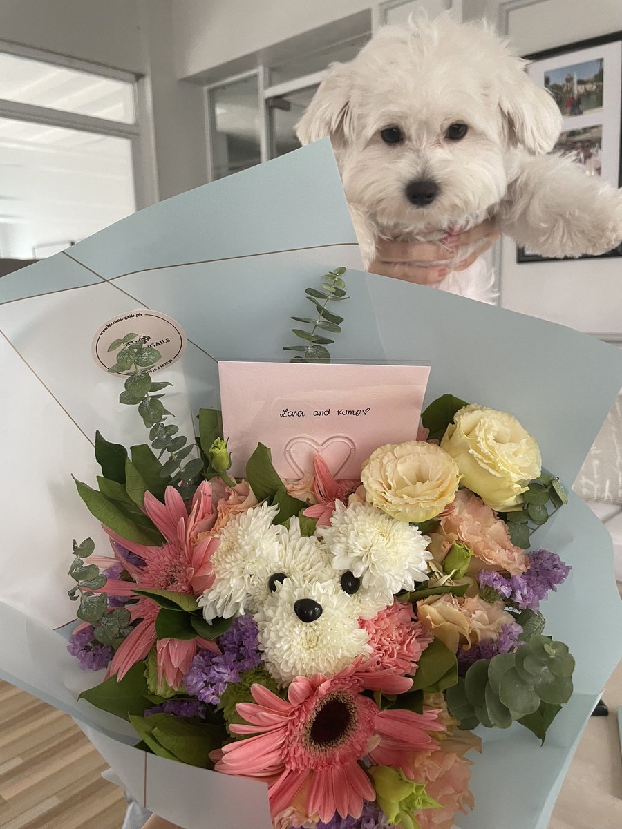 laragasc's tweet photo. Can't get over this bouquet with Kumo's face on it HAHAHA well done, @randyjoeyoung 🥲 https://t.co/PxdERmExuI