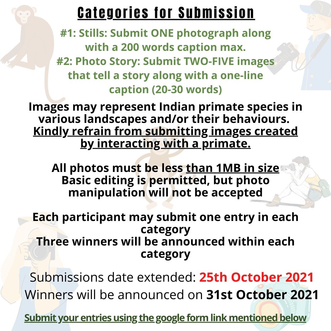 IndianPrimates's tweet photo. We have extended the deadline for submissions!!!!
Please submit your images by the 25th October through the Google Form link in our bio.
Refer to the posters for information regarding submission themes and categories. +
#Photographycompetition #Indianprimates #scicomm https://t.co/RUaIdwwxid