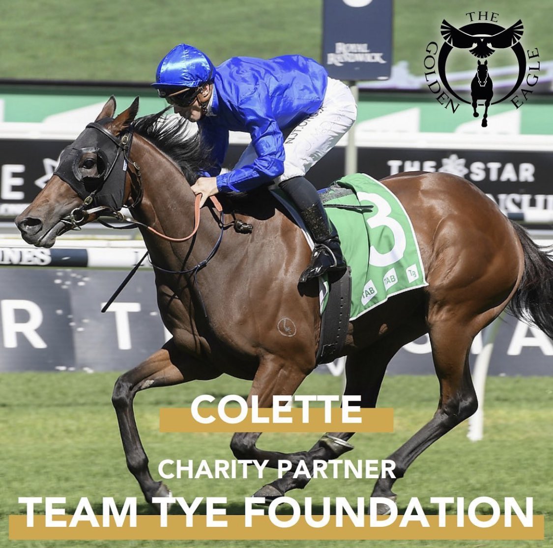 TeamTyeFdn's tweet photo. THROWBACK THURSDAY • Back to the 2020 Golden Eagle, where we fortunate enough to partner with @godolphin to take out The Golden Eagle. Since then we have been able to assist many racing participants in their time of need. An incredible initiative from @racing_nsw 👏🏼 https://t.co/3OqcmoDxXJ