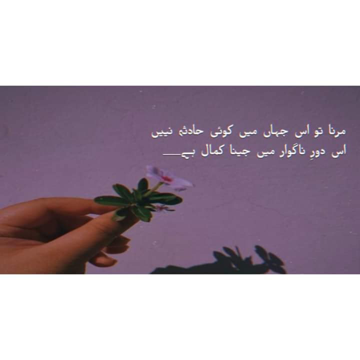 Masood Rahim (@masoodrahim6) on Twitter photo  Masood Rahim (@masoodrahim6) on Twitter photo