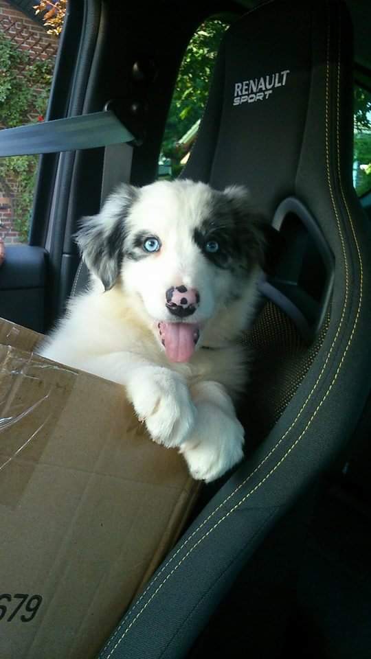 Boltif_OG tweet media