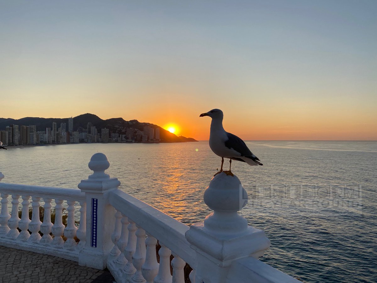 IrenaInBenidorm's tweet photo. That magical moment #sunrise #benidorm #goodmorning https://t.co/je5pXjfoq0