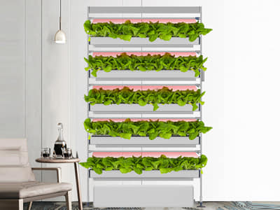 opcomfarm's tweet photo. GrowWall 3 interior design from Desiner Angel, slim 30cm Wall with front Glass slide door and Anti Insect Net door can easy maintain humudity and anti Insect,
https://t.co/kCv9s7U6mo https://t.co/Jg5NUJOqLP
