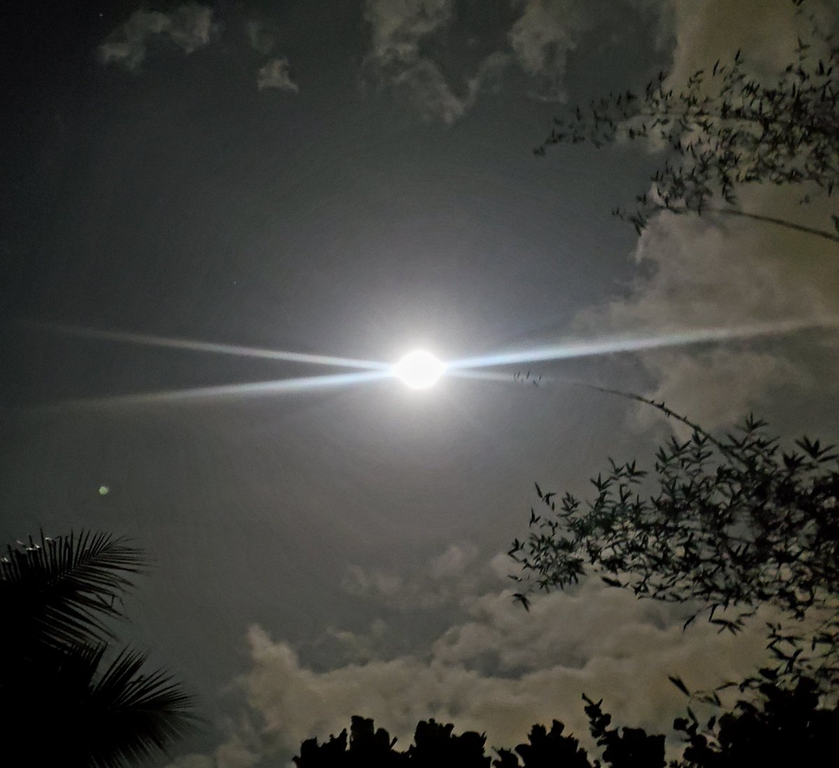 HappiHARVESTMOONness