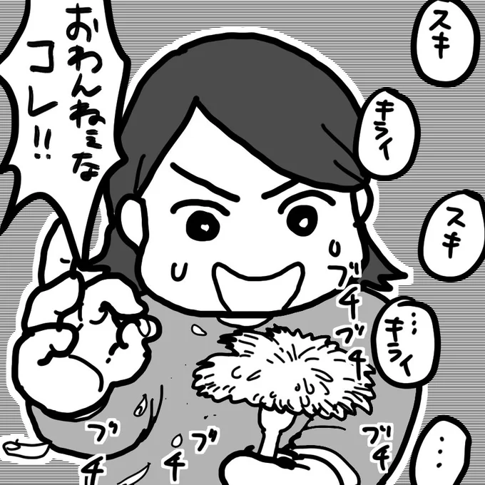 @jin_manami01 花占いの花のチョイスを誤るじんさん 