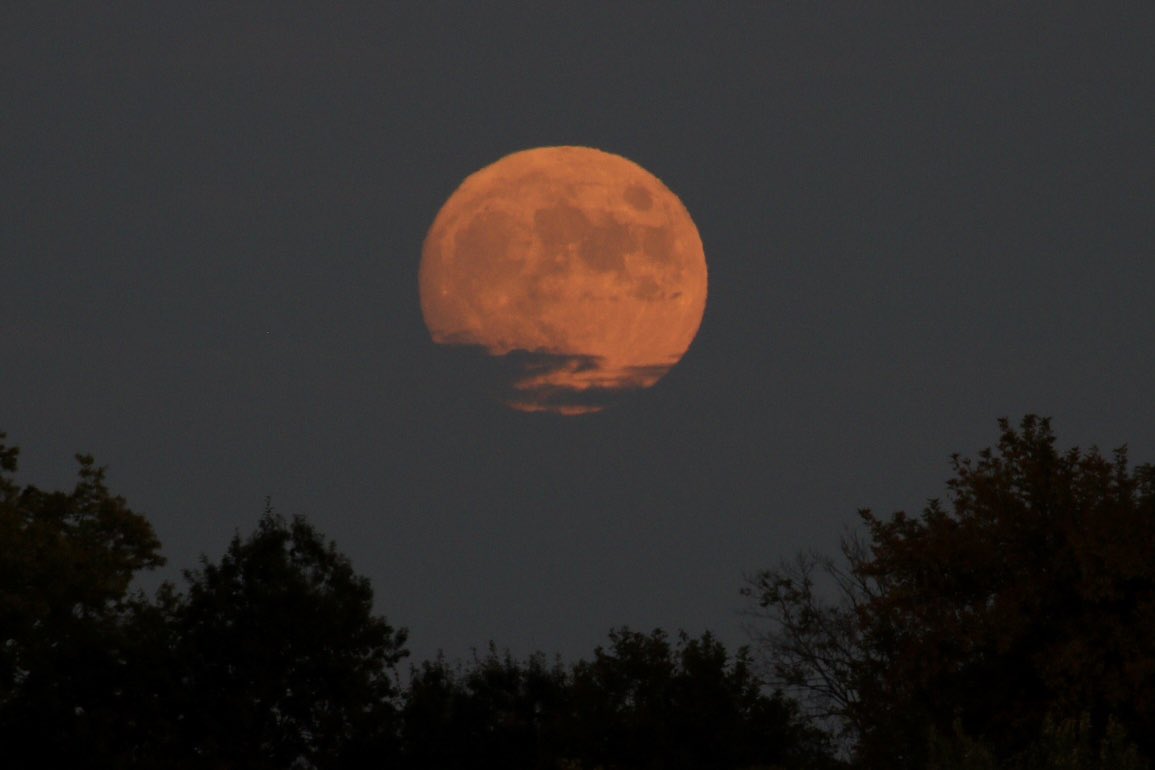 JAErwin8's tweet photo. Lots of moon love this week... #moon #canon #iPhone #photography #night #sky #chasing #darkness #Astrophotography #someothertime https://t.co/5TSiYMAXCr