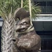 toasu89's tweet photo. @chaunceysmullet @GonzoApp @AppStateConeBoy @BradyTheAppFan @Yosef_Burner @BDErwin1 @AppStateNeers @MulletTeddys https://t.co/xgRcekbZGt