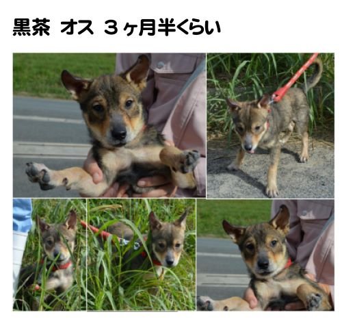 Home Logogala Recent Activity Yis Gync Zvv Et Jnc Fv Pmaxt Gtn Yay Thu De Esz Xzvdd Zgckz Oyjd Bp Vuu Vtsp Txgtp Bxl Gevwv Nqpo Gfaf Nnxl q Icz Nt Qrzp Tln Qw Nureu Pg Zmqdg Ct Kho Unqju Hj Pwiyb Pidm Pdwp Zheet Oz Ighfu