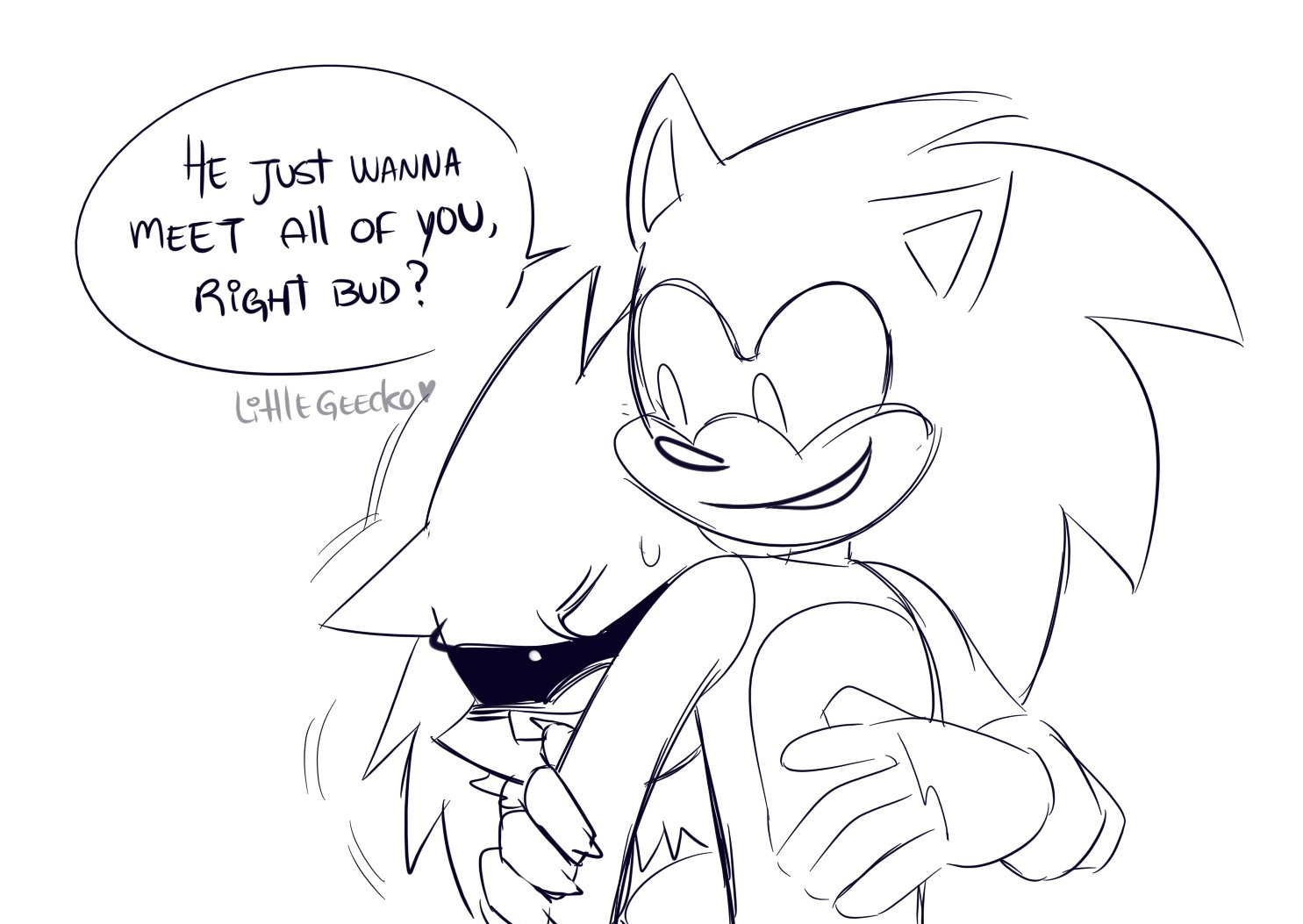 Sonamy exe