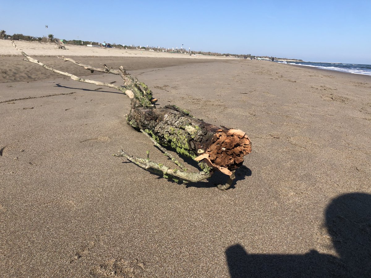 300teabags's tweet image. You call #crazy what does not move along the path you know and expect people to follow. 
Well, what you call crazy is Different. And unknown and different are my food. #RandomWisdom