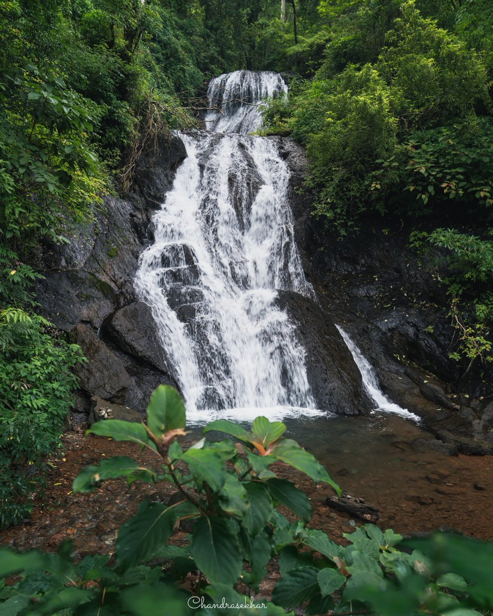 Hidden gem from Goa 💎
#offbeatgoa #goadiaries #IncredibleIndia #waterfalls #monsoon2021 #landscapephotography