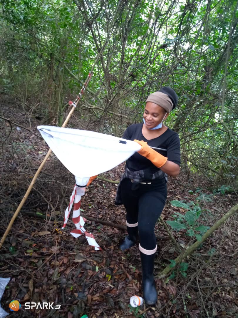 Joselyne Barakagwira tweet media