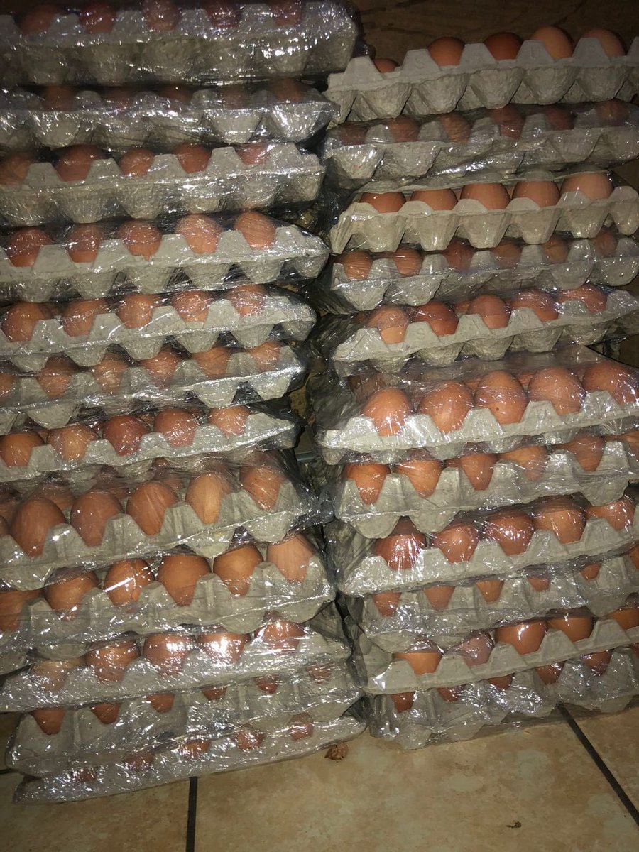 Gracelandfarmer's tweet photo. Bulk Eggs 30s prices: 

small R35-box R420
Medium R38-box R460
Large R40-box R480
XLarge R42-box R500.

Young Stunna | Grade 11 | Zimbabweans | Adiwele | Grade 4 | Anele | MacG | Zuma | Mbeki | Carpo | Ndah | Mpho | Mbalula | Joyous Celebration | Swaziland | #AskAMan | #BBMzansi https://t.co/wU7OMc3PJX
