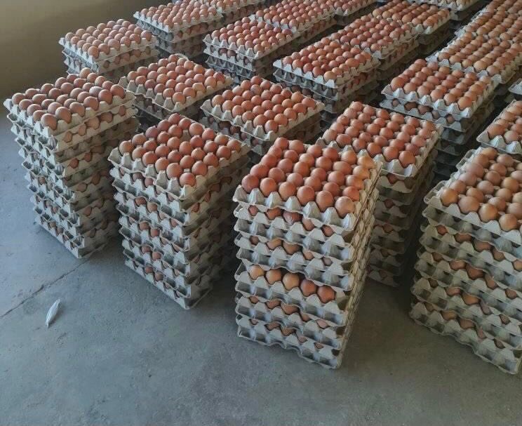 Gracelandfarmer's tweet photo. Bulk Eggs 30s prices: 

small R35-box R420
Medium R38-box R460
Large R40-box R480
XLarge R42-box R500.

Young Stunna | Grade 11 | Zimbabweans | Adiwele | Grade 4 | Anele | MacG | Zuma | Mbeki | Carpo | Ndah | Mpho | Mbalula | Joyous Celebration | Swaziland | #AskAMan | #BBMzansi https://t.co/wU7OMc3PJX