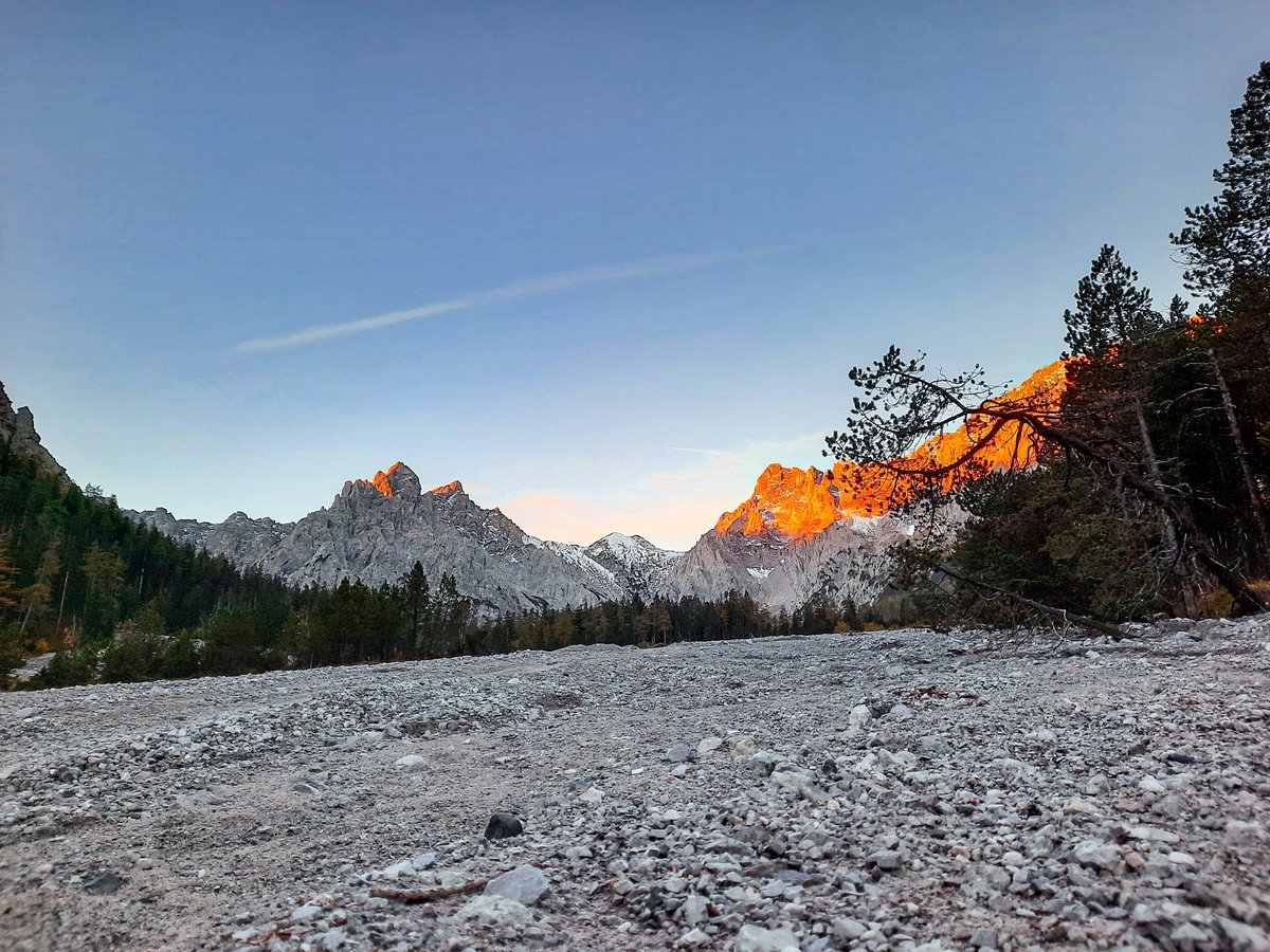 Rise and shine - wildlife census at #BerchtesgadenNationalPark