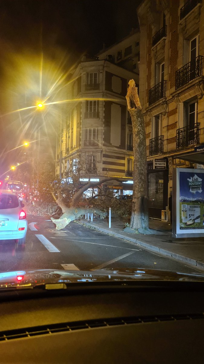COMECS2's tweet image. Tempête #Aurore #Montrouge