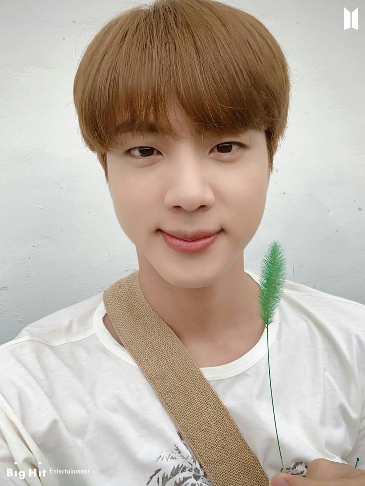 dailyskjnselca's tweet photo. His lil smile •ᴗ•   #BTSJIN https://t.co/gtGts54ypc
