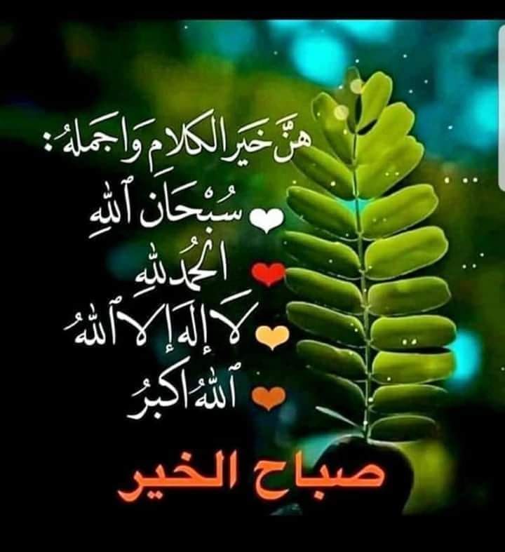 <a href="/Rana_rana44/">رنوشه</a>