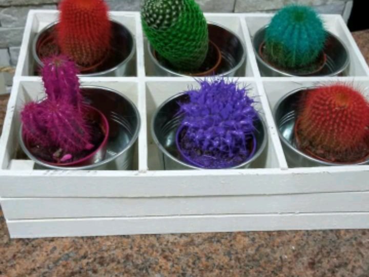 Viilaa98's tweet image. 