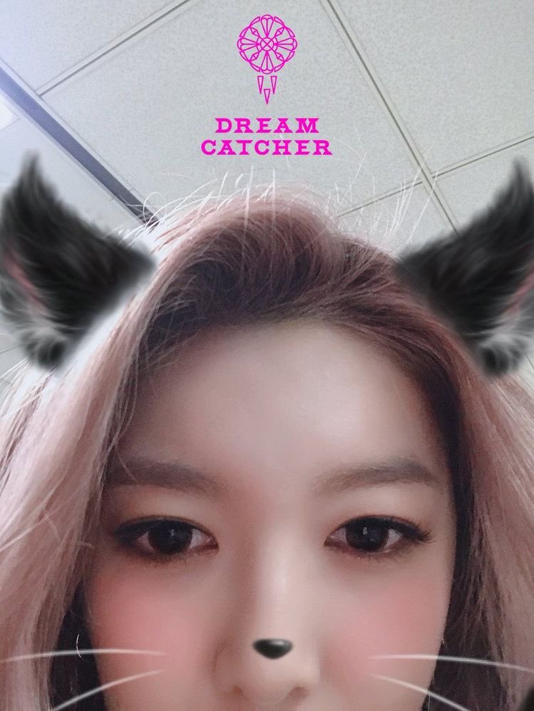 MeowDamiBot's tweet image. instead of brain there is catgirl Yubin 

—  #DREAMCATCHER  #드림캐쳐  #ドリームキャッチャー  #DAMI  #다미  #ダミ