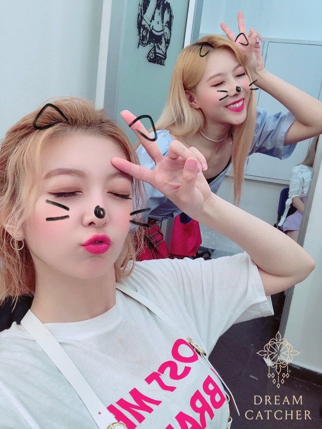 MeowDamiBot's tweet image. instead of brain there is catgirl Yubin 

—  #DREAMCATCHER  #드림캐쳐  #ドリームキャッチャー  #DAMI  #다미  #ダミ