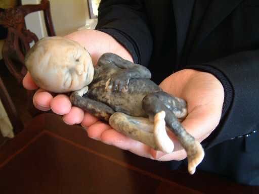 JacquelineManos's tweet photo. Mortal Sin.
Other than that, perfectly fine!
You miserable evil scum!
#ProlifeForever https://t.co/l7rJ5YIg2Y