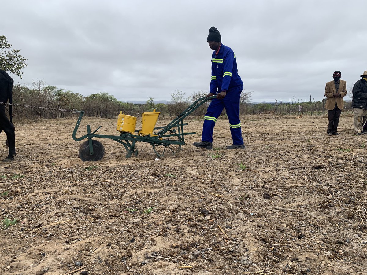 DevFinEconomist's tweet photo. 1.With recent success in #pfumvudza, we need to improve efficiencies and lesson the labour to do CA. @apt_zimbabwe @ZRBFZIM MELANA project in collaboration with #Mealiebrand @zimplow a local manufacturer of agric implements is rolling out demonstration on how their equipment work https://t.co/ynJ2W1Xpey