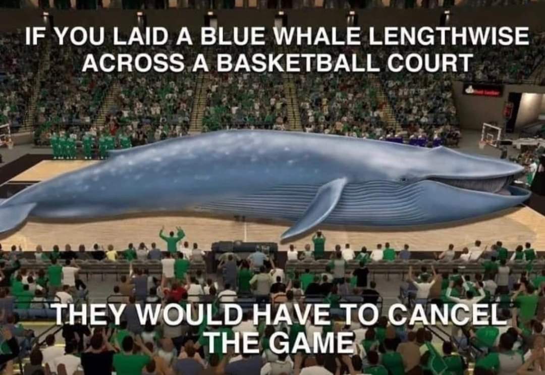 MustelidMay's tweet image. 