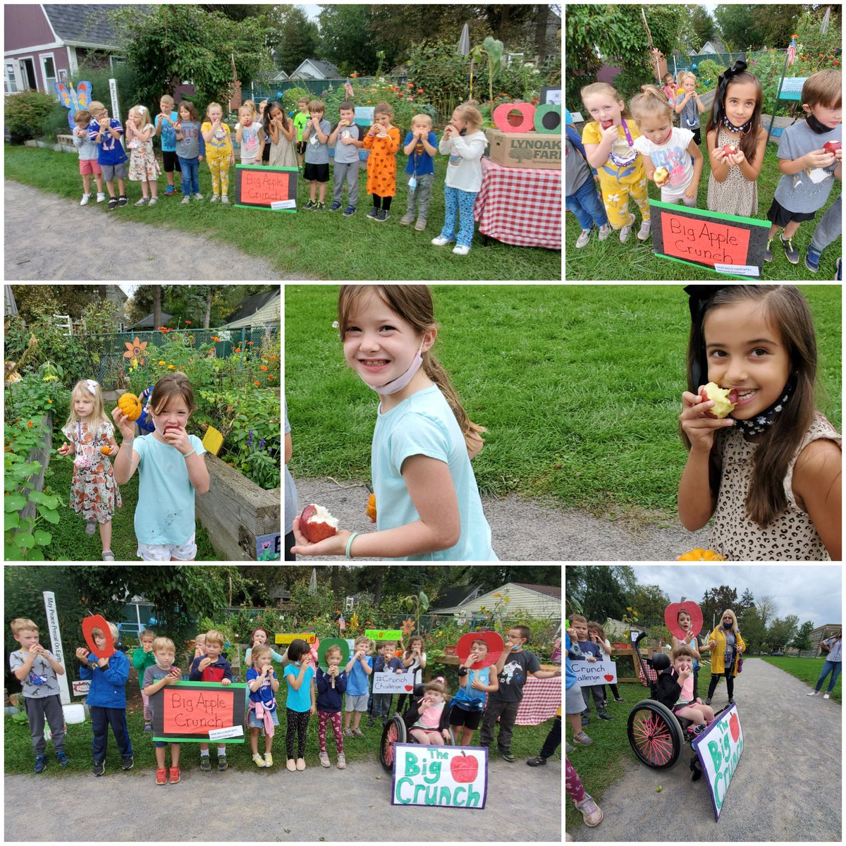 givinggardenUP's tweet photo. Can you hear it? Ss across the Hamburg District are taking the #bigbite for the #BigAppleCrunch @HCSDF2S & @LynoakenFarm have provided deliciousπ for Ss. Schools across NY state are joining in on the #CrunchChallenge ! #NYFarmtoSchool #NYApples @HCSDLearns #Howbigisyourbite #WNY https://t.co/WCAxtiPEfj