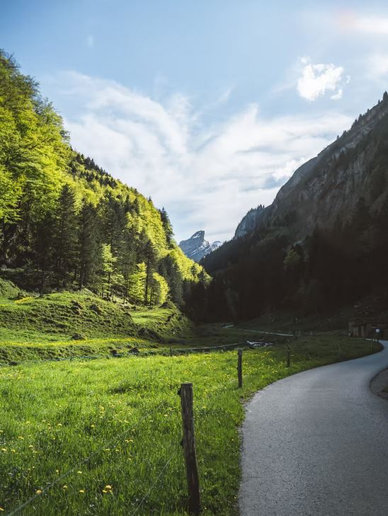 SRMandat's tweet image. Auf stiftungsratsmandat.com werden Stiftungsratsmitglieder aus der #Ostschweiz gesucht!

• Finanzen
• Immo
• Hotellerie
• Arbeitsrecht

Kund*innen: E-Mail mit Referenz "StiftungSozial04" an: luethi@stiftungsratsmandat.com 

#Digitalmatchmaking #Stiftungsrätin #Stiftungsrat