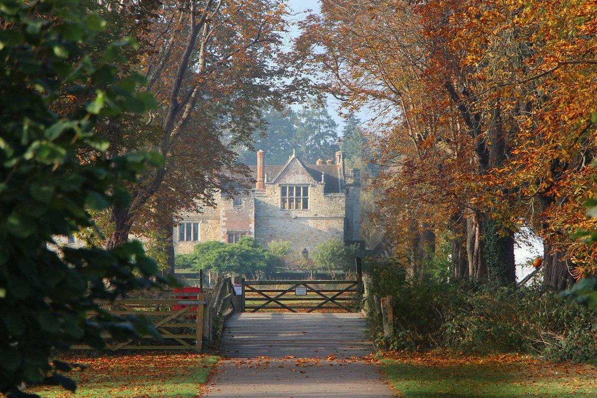 hevercastle's tweet photo. Chestnut Avenue in all its glory ๐ฐ #HeverCastle #Autumn #AutumnColour #FridayFeeling https://t.co/mhz6NxX966