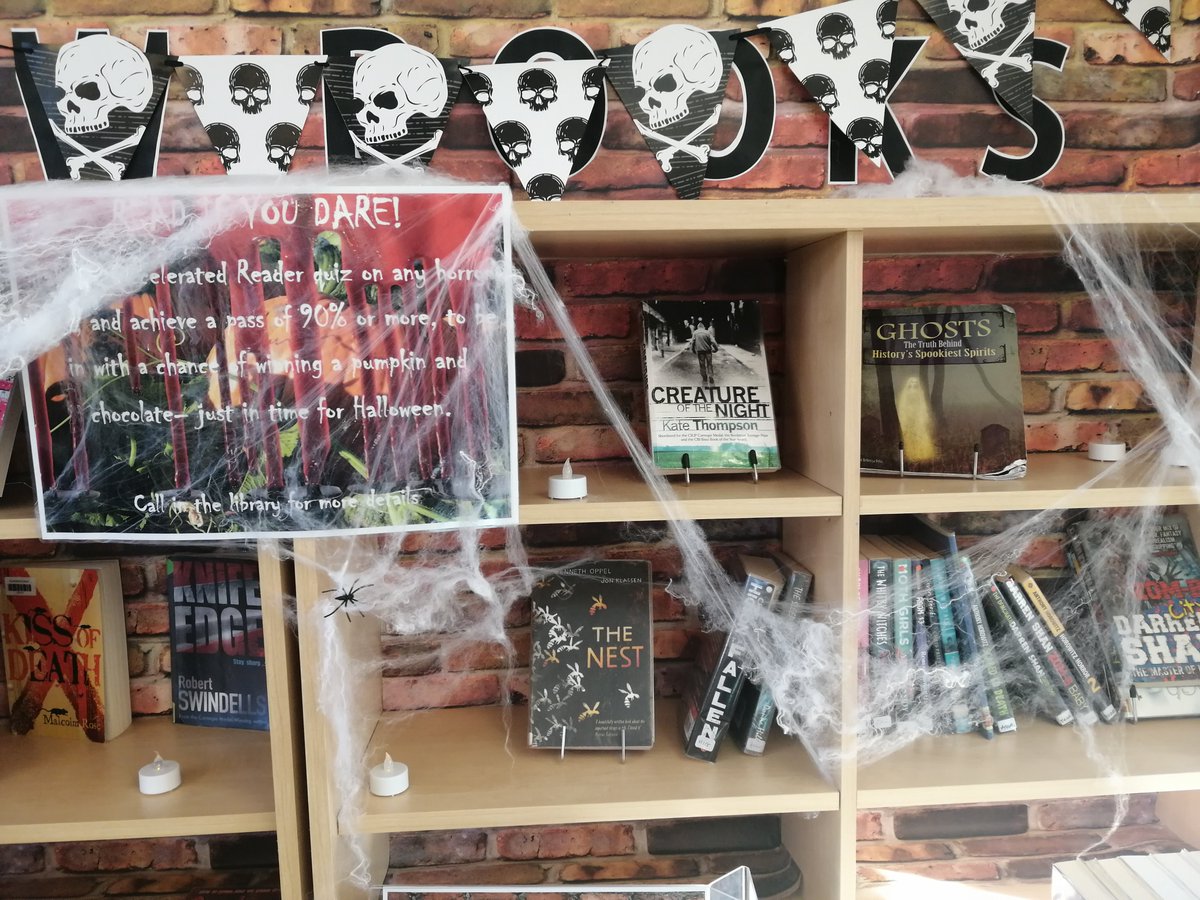 Ecco Y7/8 students having been taking Accelerated Reader quizzes on horror books this week to win pumpkins and chocolate!