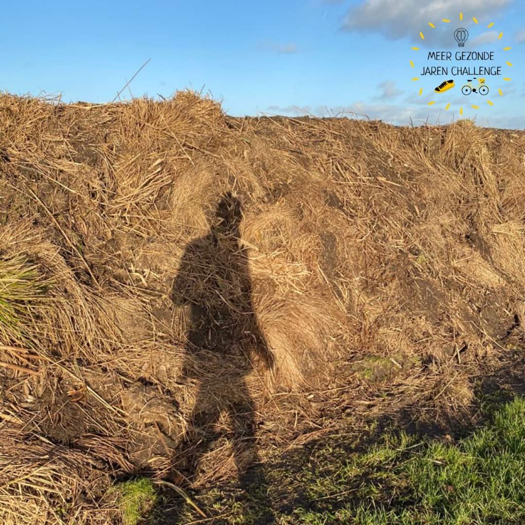 Nog 10 dagen te gaan in de #MeerGezondeJaren #challenge💪🏼 Lukt het jou? Iedere dag bewegen🤔
We zien enthousiaste mensen in de app en hierbij 'n steuntje om 8000stappen per dag te(blijven!) maken👟
Ook succes voor <a href="/StoptoberNL/">#StoptoberNL</a> deelnemers🚭
#nietrokenmaarlopen
#iedereeninbeweging