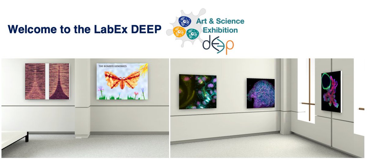 LabEx.DEEP (@deeplabex) on Twitter photo "Be at microscopes, imagers or computers, we as scientists are surrounded by images"
📢 We are thrilled to announce the LabEx DEEP exhibition! It will be on display at Institut Curie. Cannot make it? No problem, you can go online artspaces.kunstmatrix.com/en/exhibition/…
<a href="/institut_curie/">Institut Curie</a> <a href="/psl_univ/">Université PSL</a> "Be at microscopes, imagers or computers, we as scientists are surrounded by images"
📢 We are thrilled to announce the LabEx DEEP exhibition! It will be on display at Institut Curie. Cannot make it? No problem, you can go online artspaces.kunstmatrix.com/en/exhibition/…
<a href="/institut_curie/">Institut Curie</a> <a href="/psl_univ/">Université PSL</a>