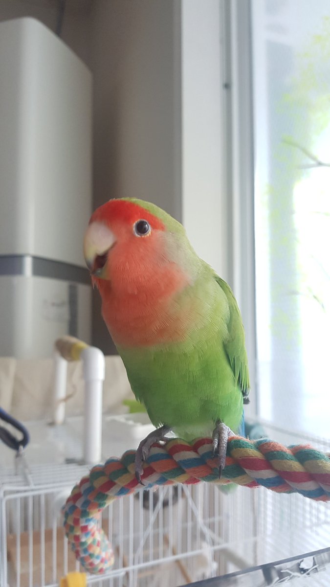 아빠: 인제 초등학교 졸업하겠네? 
한글은 떼고 졸업해야지 밥주세요 해봐

쨃