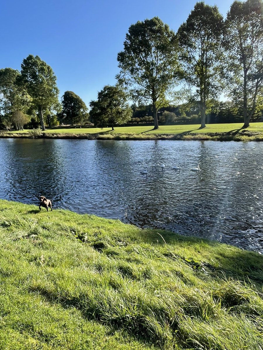chunk_duke's tweet photo. What a fab time in Scotland 🏴󠁧󠁢󠁳󠁣󠁴󠁿 https://t.co/gL5u942uZM