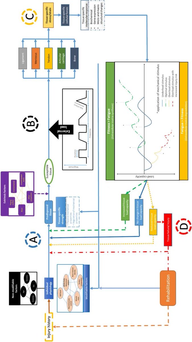Physio Meets Science tweet media