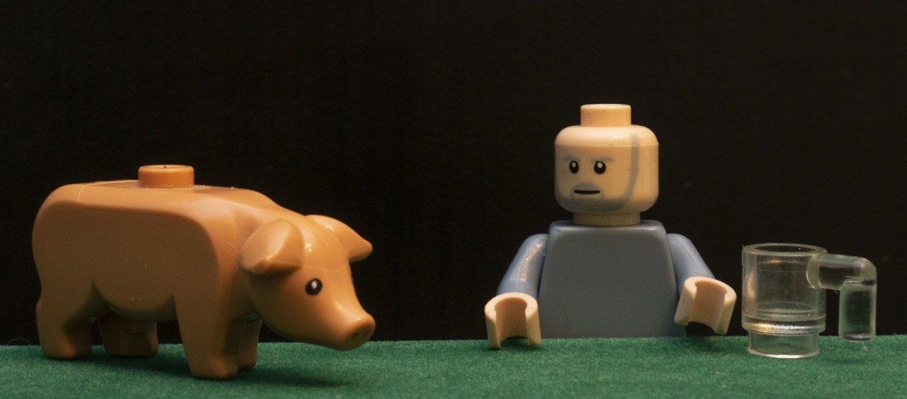 FCN8akzXMAMN3DA?format=jpg&name=large