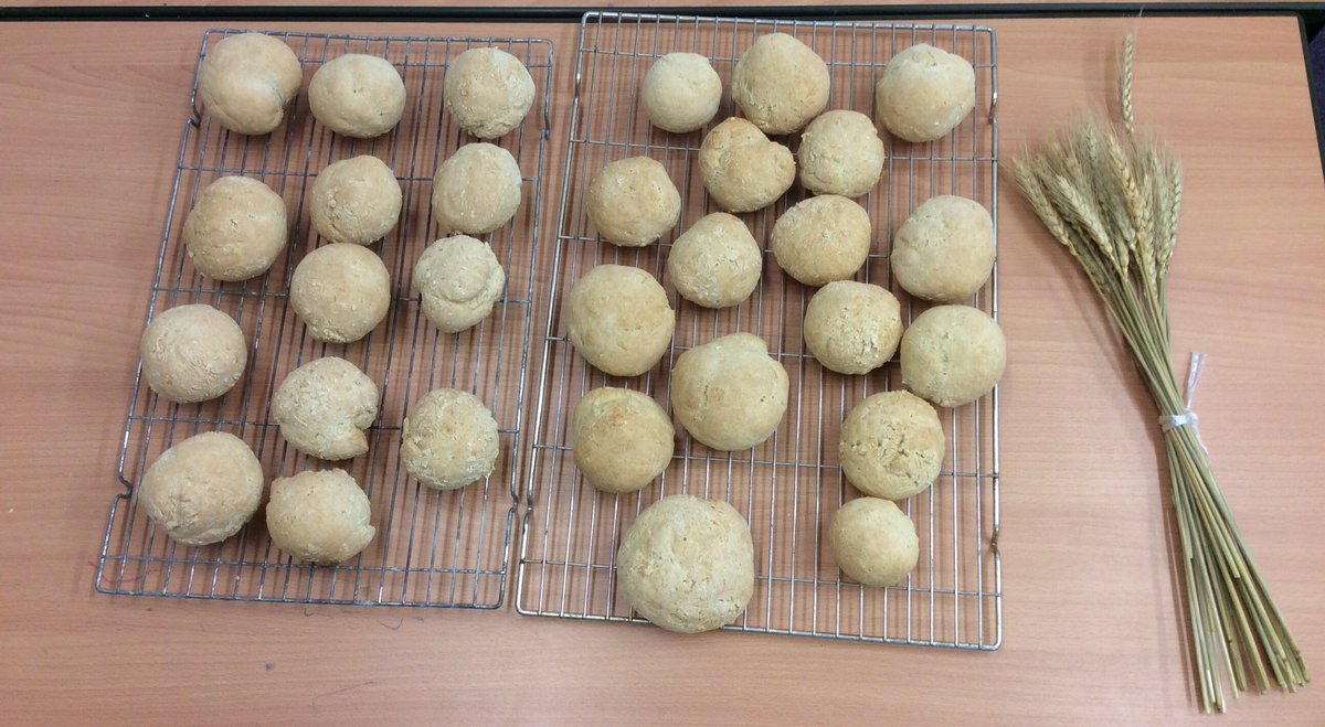 “Who will help us eat the bread?” Said the Little Red Hen. “We will” said the Reception children.   They look and smell delicious 🍞🥖🐛🐞