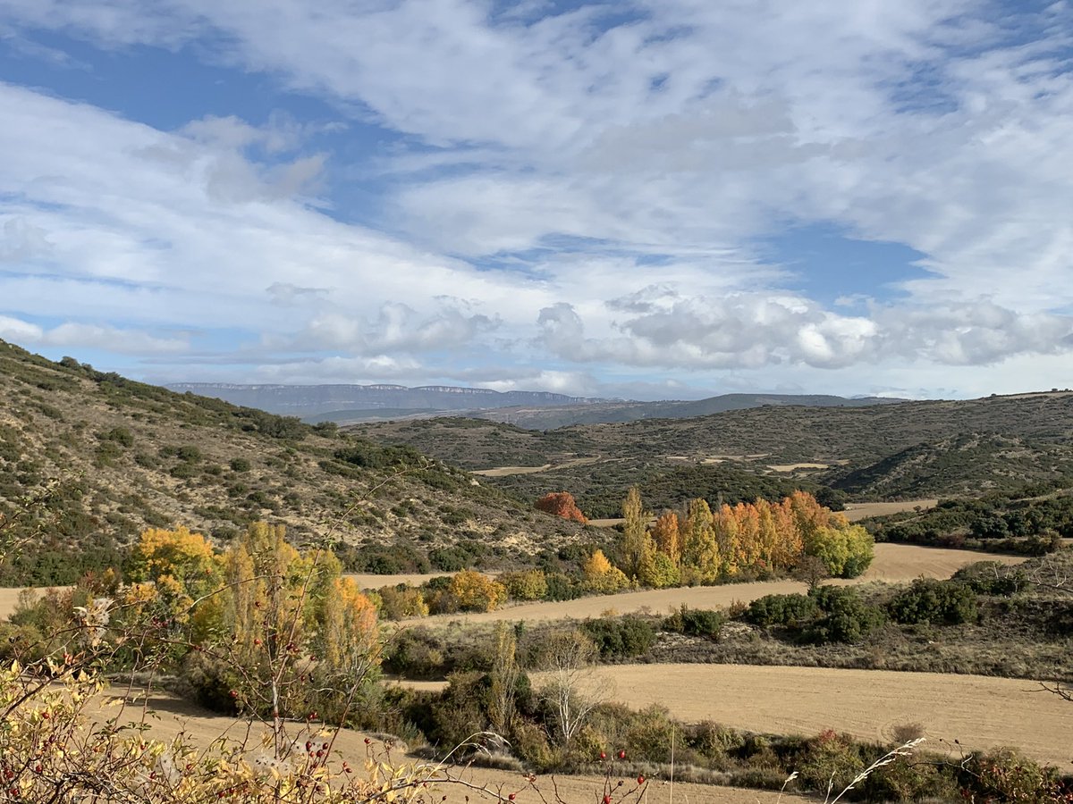 MamenSos's tweet photo. Otoño en Sos del Rey Católico 🍂🍂 https://t.co/UNHq9E0OtG