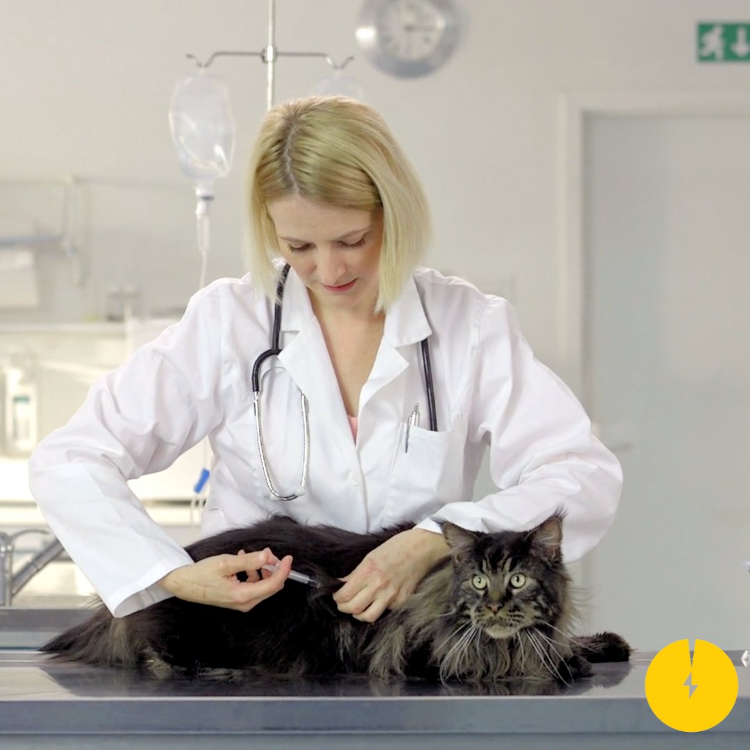 destroyneedles's tweet photo. A survey of vet technicians identified that 93% of them reported at least one needlestick injury over the course of their career, and 74% had experienced a needlestick injury during the preceding year.

To install a SANDD Pro in your clinic today, call (866)4REDHAWK https://t.co/CaShq6XzxC