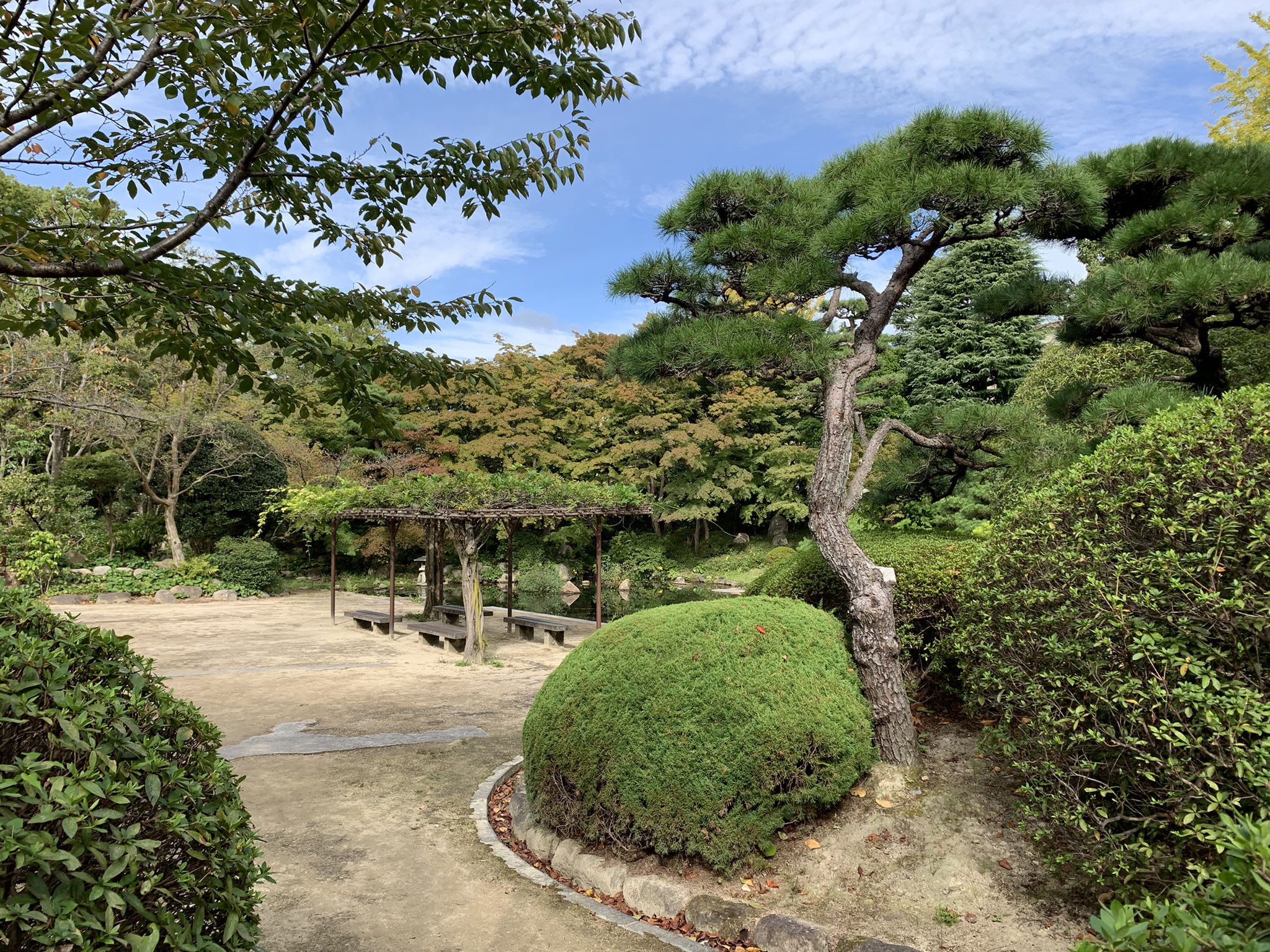 Tweets With Replies By 夕陽丘予備校 公式 Yuhigaokayobi Twitter